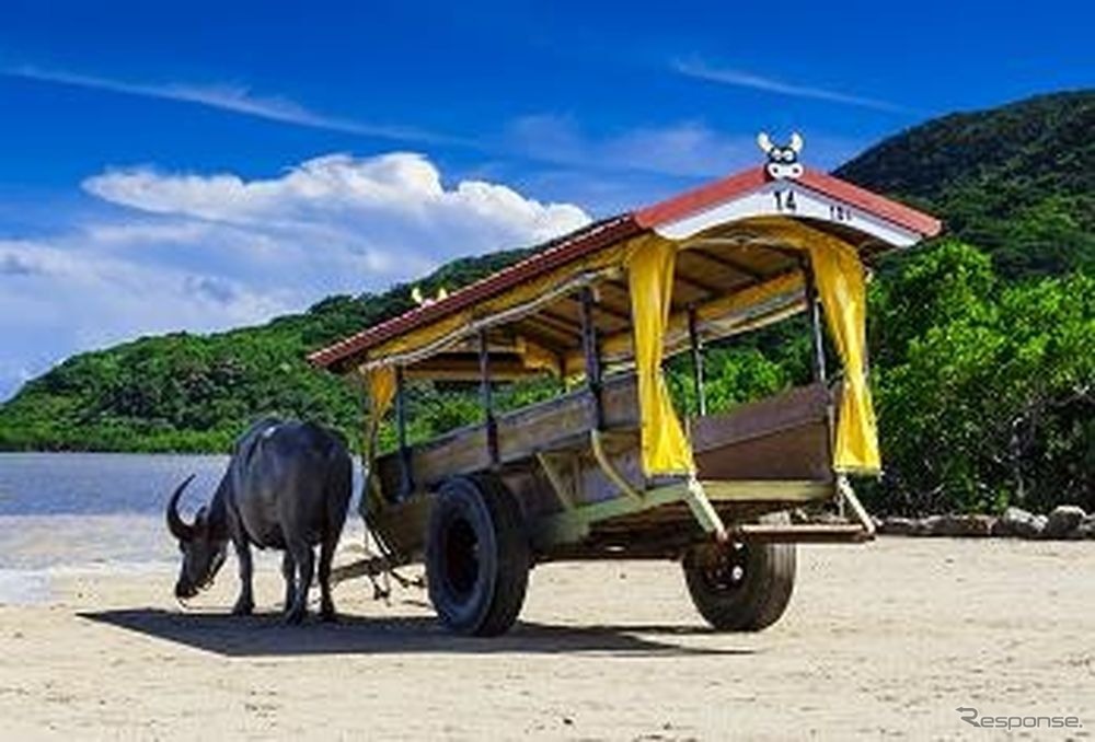 沖縄・由布島の水牛車