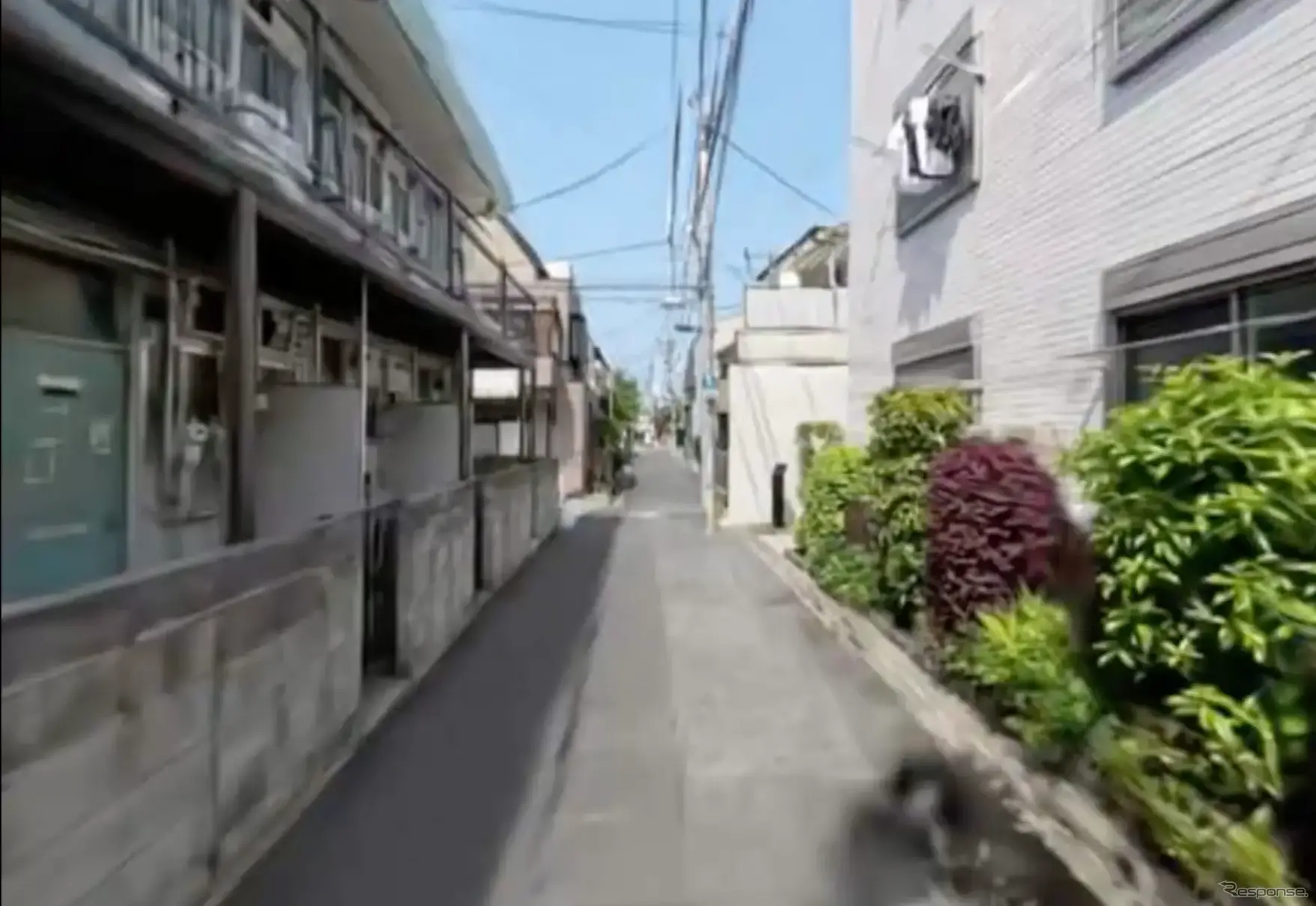 画像からの三次元再構成技術『Morpho Photogrammetry Toolkit』