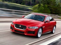 【ユーロNCAP】ジャガー XE、大型ファミリーカーで最も安全な車に 画像