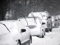 NEXCO中日本、23日から25日の大雪予測で緊急告知 画像