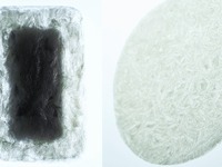 レクサス デザインアワード、入選12作品を発表 画像