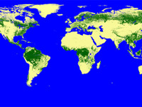 「だいち2号」による全球森林マップを無償公開、温暖対策に活用,…JAXA 画像