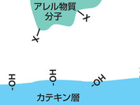 日産、花粉症の原因物質をほぼ除去できるエアコンフィルターを新開発 画像