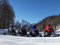 ヤマハのスノーモビル、国内総需要は年間600 - 800台…北米、欧州、ロシアで人気 画像