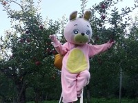 電車なし、バスは1日1往復…山形県朝日町の課題を考える 画像