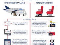 デルタ航空、ペット輸送の新指針を発表…オプションは機内持ち込みを含む2通りに 画像