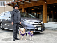 ホンダ オデッセイハイブリッド に愛犬を乗せて…ペット旅を快適にする専用グッズ 画像