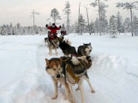 これぞ “人犬一体” ？…北極圏で犬ゾリに乗ってみた［動画］ 画像