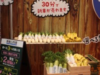 【IAAE16】月々1万円で新車に乗れるリース、10分100円レンタカー…カーベル 画像