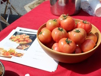 もてぎを食べ尽くせ！　ツインリンクもてぎでしか味わえないオリジナルメニューに新作 画像