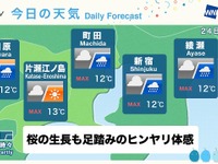 ウェザーニューズ、「小田急TV」にお天気コンテンツを配信 画像