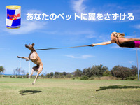 ペットにも翼をさずける!?　「ペットブル」登場 画像