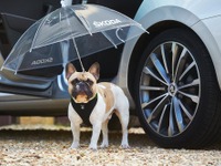 シュコダ、犬専用の傘を開発…ドアフレームに内蔵 画像