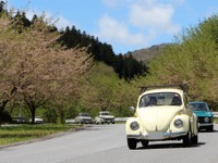 のんびり楽しむクラシックカーイベント…マロニエオートストーリー春ミーティング開催 画像