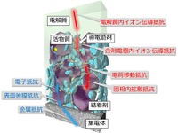 産総研など、リチウムイオン電池内部の反応不均一性の可視化に成功…EV用電池の設計に適用 画像