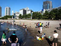 駐車場の空き情報、リアルタイム提供…夏休みの臨海都心 画像