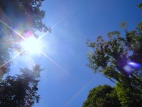 米EVテスラ、太陽光発電ベンチャーを買収へ…個人が発電 画像