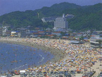 安全確保は理由にならん!! 横断歩道を勝手に作った男、あえなく逮捕 画像