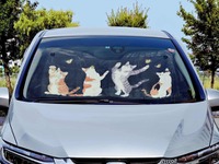 チョウチョと遊ぶニャンコたち…こんなデザインのサンシェード 画像