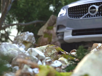 ボルボ V90 新型にSUV、クロスカントリー …表情見えた 画像