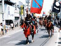 信号柱に衝突したのは"赤い跳ね馬"ならぬ、ホンモノの馬!? 画像