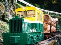 美術館で森林鉄道の企画展…機関車など展示 画像