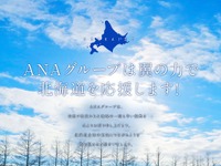ANA、台風被害の北海道を支援…運賃値下げクーポン発行 画像