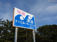30cmの津波でも侮ってはいけない理由 画像