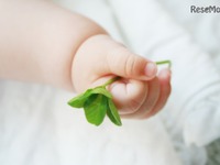 赤ちゃんの名前ランキング、男児1位は5年ぶりの一文字　2016年 画像