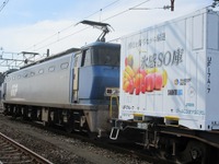 新コンテナ「氷感」「SORA」登場…JR貨物や佐川急便など共同トライアル実施 画像