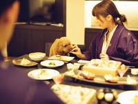 JAL、ワンワンワンワン便を運航---機内で愛犬と過ごせます 画像