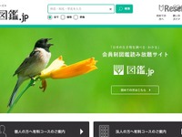 生物専門図鑑の読み放題サイト---「図鑑.jp」植物、野鳥図鑑を公開 画像