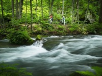 奥入瀬渓流を自転車で散歩する「渓流ポタリング」　5月開催 画像