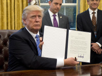 【新聞ウォッチ】ハチャメチャなトランプ大統領---日米の自動車貿易「不公平」と批判、TPP離脱にも署名 画像
