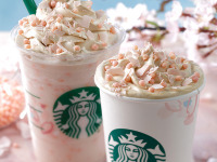 スタバで一足先に春…さくら商品をラインナップ　2月15日に新発売 画像