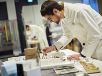 建築模型の世界を体感、制作スペースで自作も…東京天王洲に専門工房オープン 画像