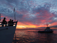 回答発表【24時間アンケート】アマゾンといえばこれでしょう 画像