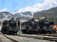 大井川鐵道で「トラ縞」C10形を運行 3月11・12日イベントで 画像