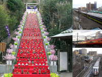 ひな人形3万体彩る勝浦の恒例祭…異色の特急・快速が輸送　2月25・26日 画像