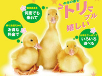 阪神高速、ETC乗り放題パスを発売…1日1230円、2日連続2260円 画像