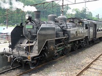 大井川鐵道『夜桜列車』、今年はSLけん引　3月31日、4月1日 画像