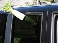 JAF、パワーウインドー挟み込みの危険性を検証…大根もバッサリ 画像