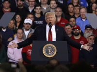 米トランプ政権、日本の自動車市場の開放を求める意見書を提出…WTO 画像