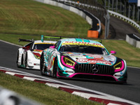 【SUPER GT】メルセデスAMG、GT300クラス最多の5台体制で参戦 画像