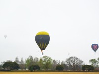 荒天に飛んだ色とりどりのバルーン、白熱の競技…熱気球ホンダグランプリ 画像