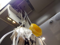【安全の舞台裏 JAL】非常食を噛みしめる---救難訓練体験 画像