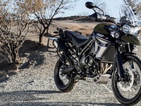 トライアンフ、上位モデル タイガー800XRT/XCA を限定導入 画像