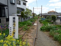 西武鉄道「幻の鉄路」安比奈線、正式に廃止…跡地活用を協議へ 画像