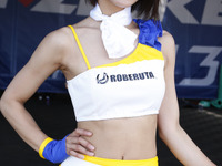 【レッドブル・エアレース千葉】エアレースクイーン藤木由貴…チームファルケン室屋選手を応援 画像