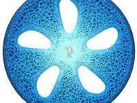 ミシュランのコンセプトタイヤ…3Dプリンターでトレッド面を補充 画像
